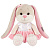 Мягкая игрушка  Зайка Лин в Серебристо-Розовом Платье 20 см Jack&Lin JL-02202312-20